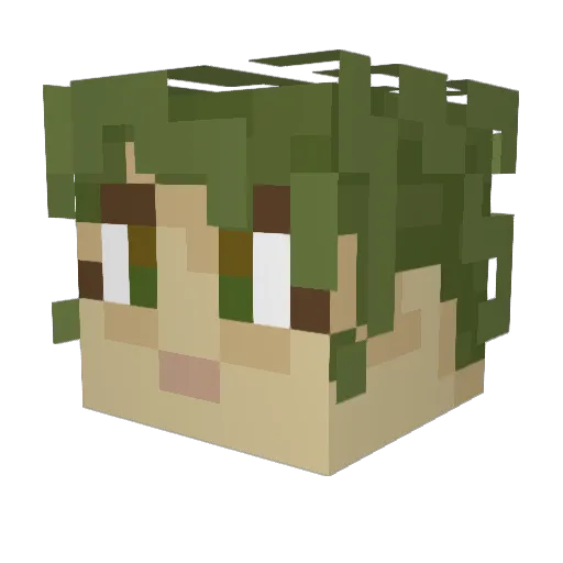 trackjabbit Minecraft avatar head, 3D render