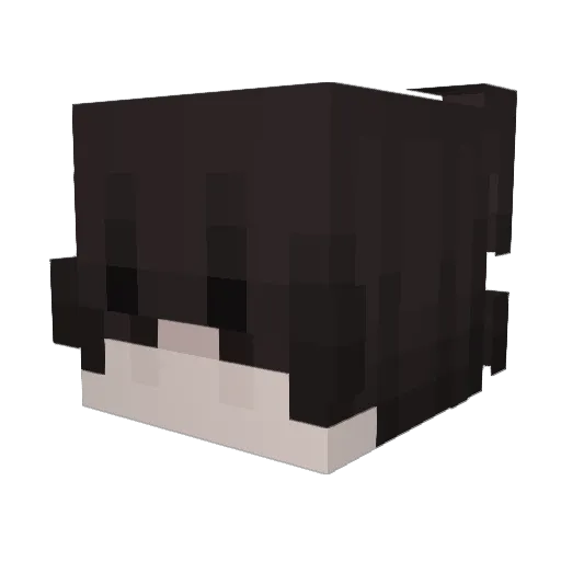 tracksuitz Minecraft avatar head, 3D render