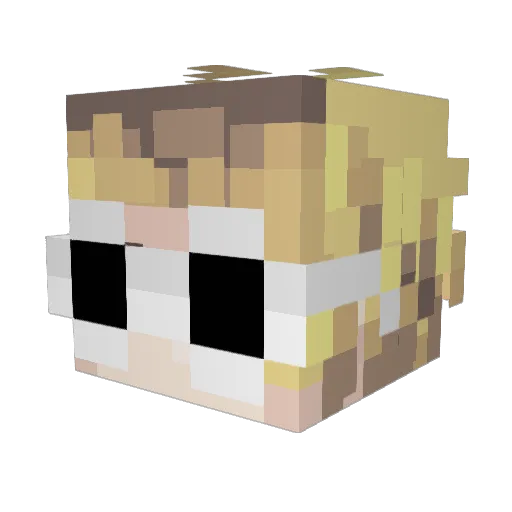 tracktor55 Minecraft avatar head, 3D render