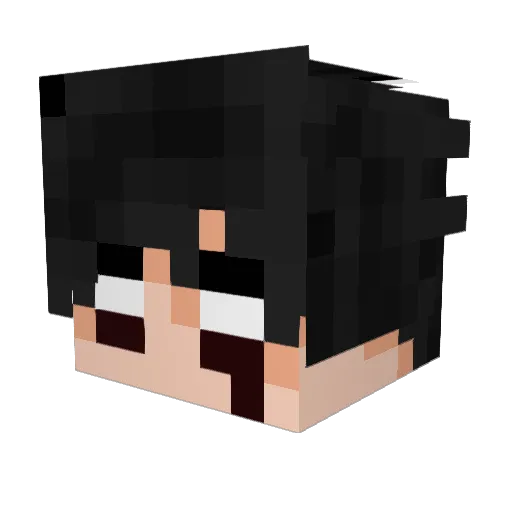 trackzinn Minecraft avatar head, 3D render