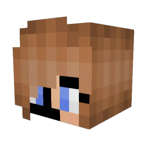 tracy1999 Minecraft avatar head, 3D render