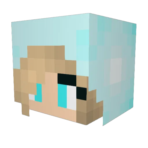 tracybear Minecraft avatar head, 3D render