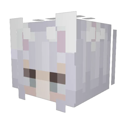 tracywrld Minecraft avatar head, 3D render