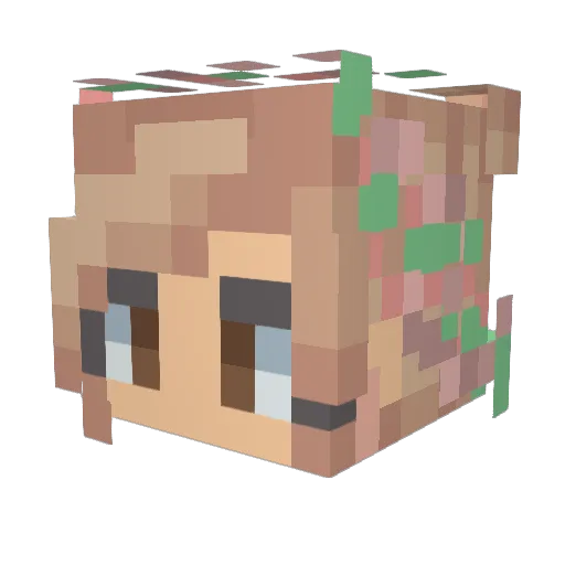 trad_modernist Minecraft avatar head, 3D render