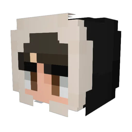 tradez Minecraft avatar head, 3D render