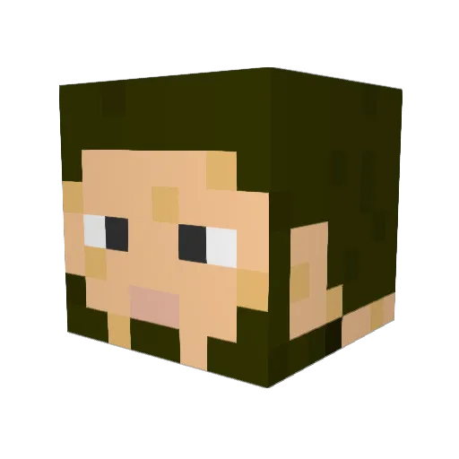 tradisfactory Minecraft avatar head, 3D render