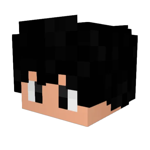 Minecraft-Avatar von train10156: Kopf als 3D-Render