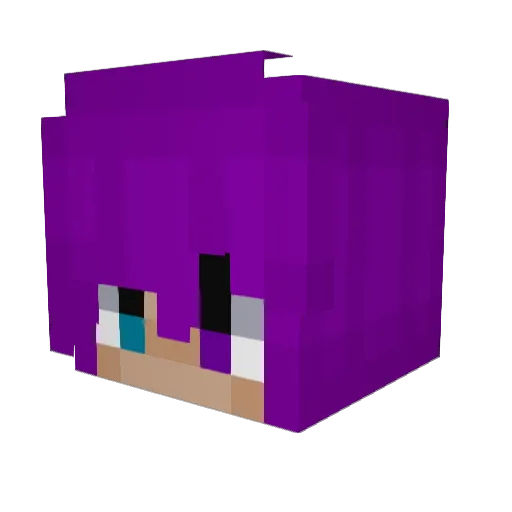 trainboy07 Minecraft avatar head, 3D render
