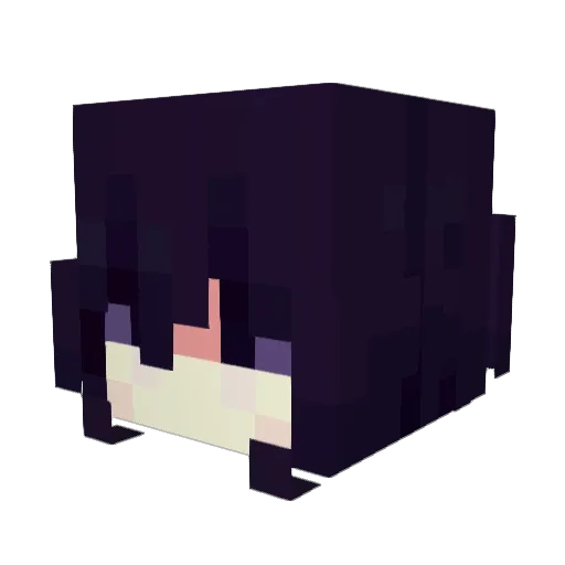 trainedmutt Minecraft avatar head, 3D render