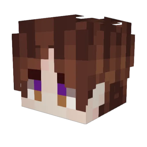 trainman2468 Minecraft avatar head, 3D render