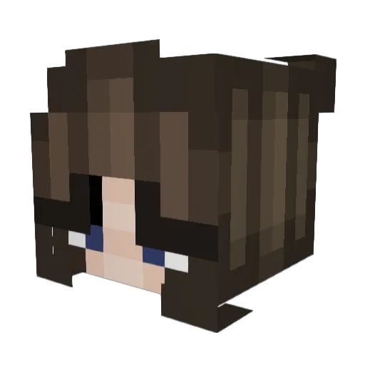 trakolinee Minecraft avatar head, 3D render