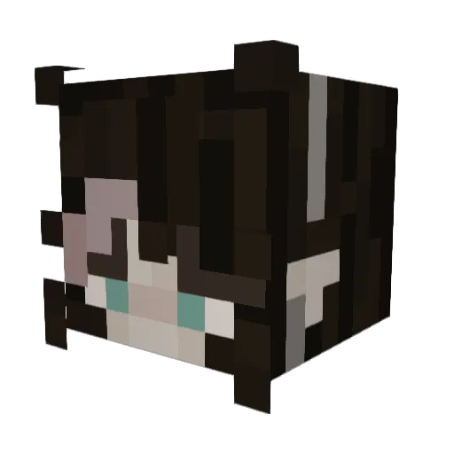 tramadol666 Minecraft avatar head, 3D render