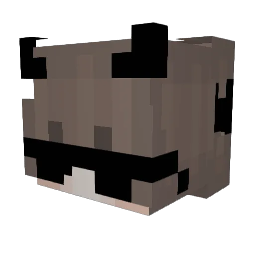 trampo00 Minecraft avatar head, 3D render