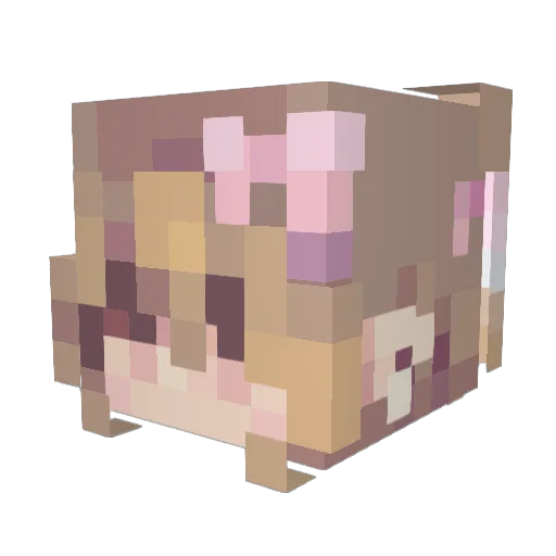 transgirlmeowing Minecraft avatar head, 3D render