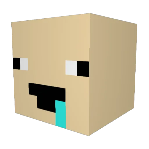 trapgodflynn Minecraft avatar head, 3D render