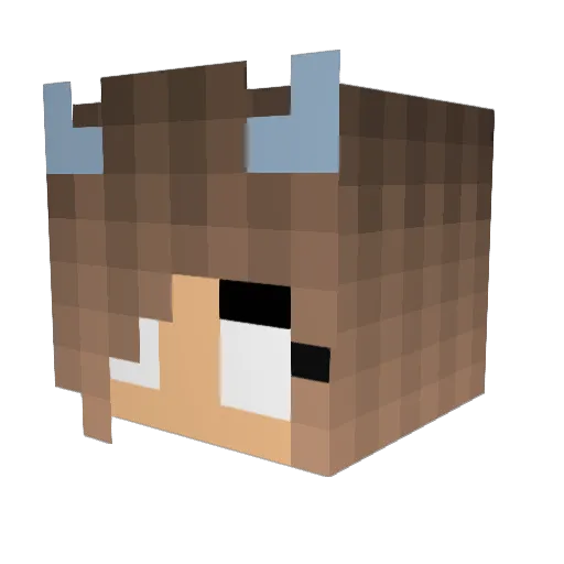 trapgodnav Minecraft avatar head, 3D render
