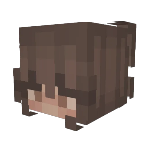 trash0plant Minecraft avatar head, 3D render