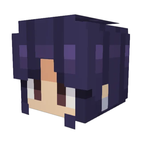 trash1ey Minecraft avatar head, 3D render