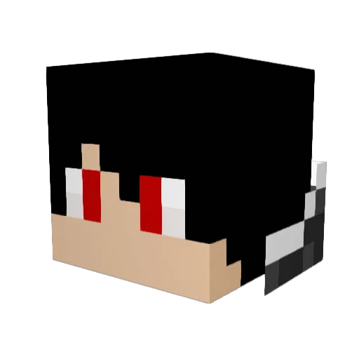 trashCanMan3 Minecraft avatar head, 3D render