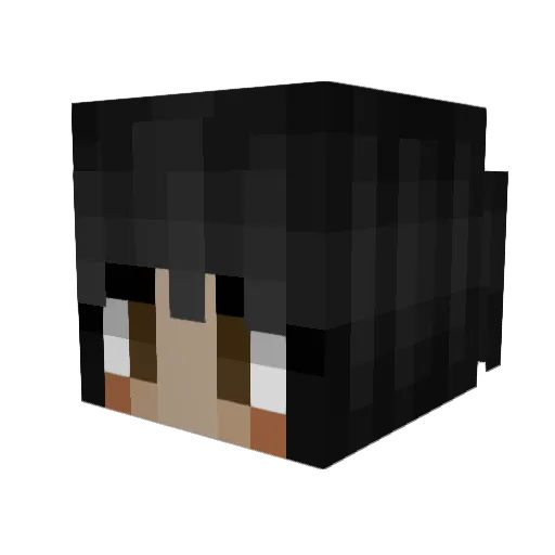 trashGala Minecraft avatar head, 3D render