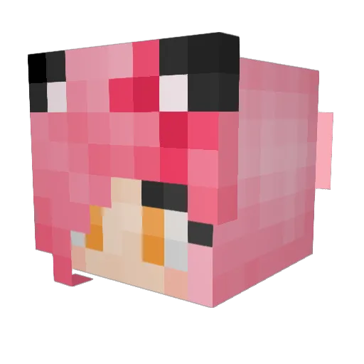 trash_io Minecraft avatar head, 3D render
