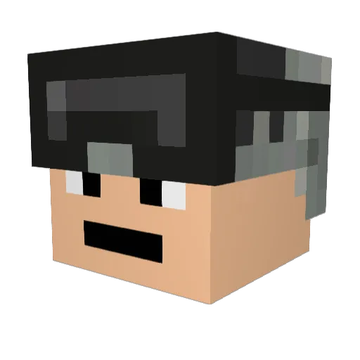 trashboat62 Minecraft avatar head, 3D render