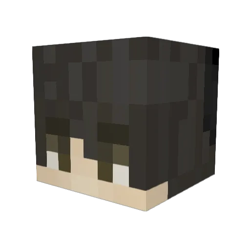 trashedtomato Minecraft avatar head, 3D render