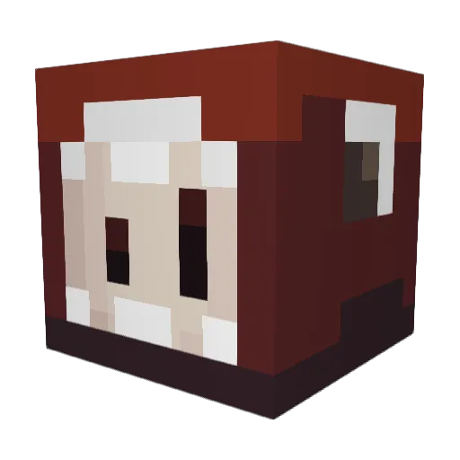 trasher0815 Minecraft avatar head, 3D render