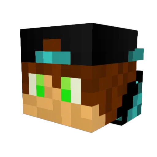 trashgamer14 Minecraft avatar head, 3D render