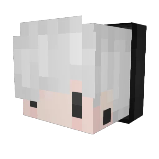 trashlord8 Minecraft avatar head, 3D render