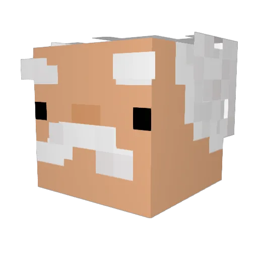 trashman27 Minecraft avatar head, 3D render
