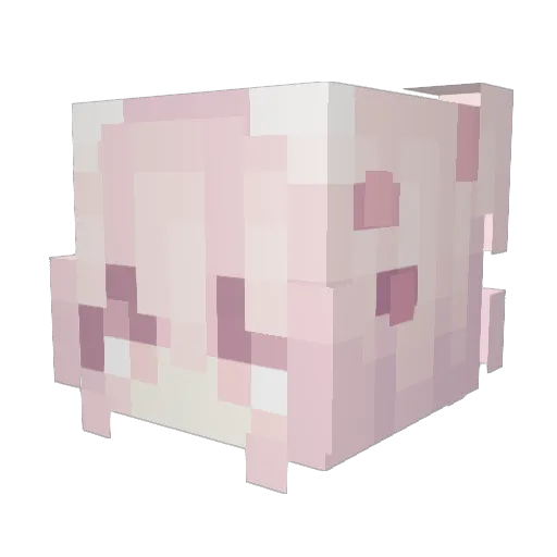 trashpanda246 Minecraft avatar head, 3D render