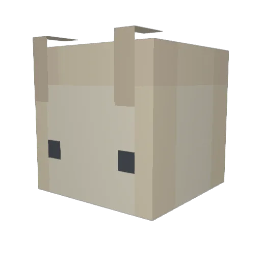 trashpanda48 Minecraft avatar head, 3D render