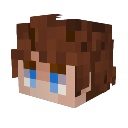 trashpanda_1 Minecraft avatar head, 3D render