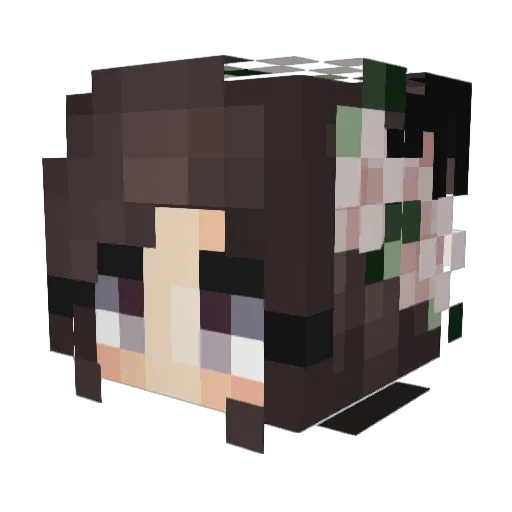 trashplex Minecraft avatar head, 3D render