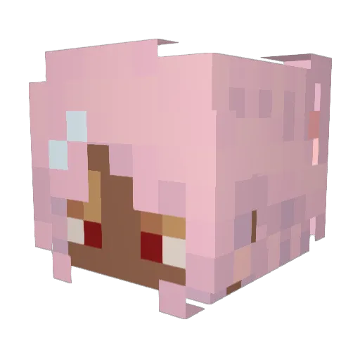 trashquarter Minecraft avatar head, 3D render