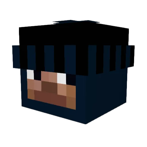 trashsetup Minecraft avatar head, 3D render