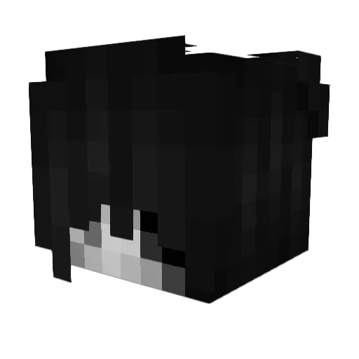 trashsociety Minecraft avatar head, 3D render