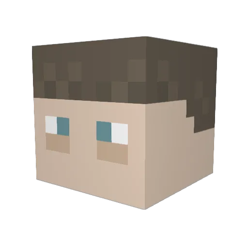 trashstaar Minecraft avatar head, 3D render