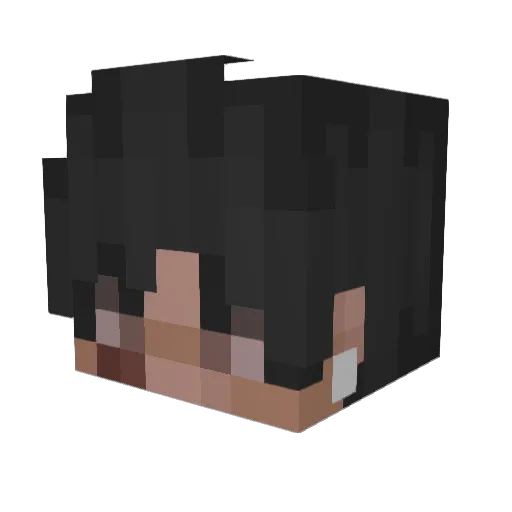 traterata Minecraft avatar head, 3D render
