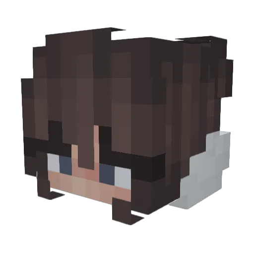 travSSSSS Minecraft avatar head, 3D render