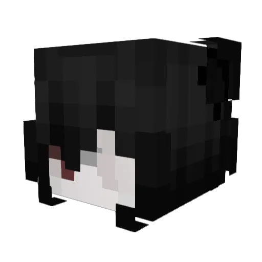 travicatt Minecraft avatar head, 3D render
