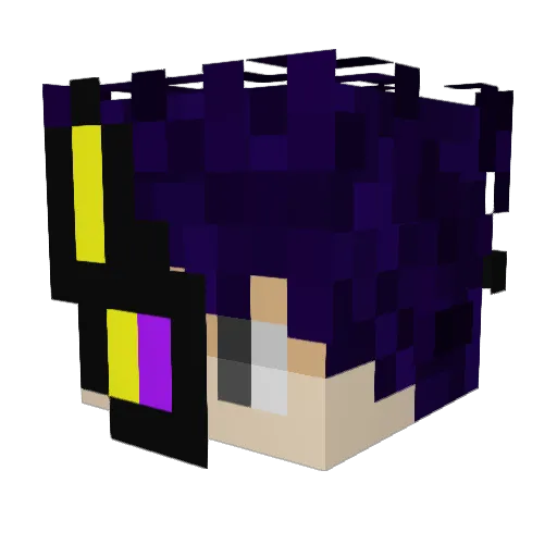 trax7200 Minecraft avatar head, 3D render