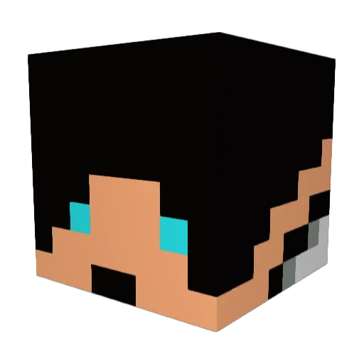 tre_fentress69 Minecraft avatar head, 3D render