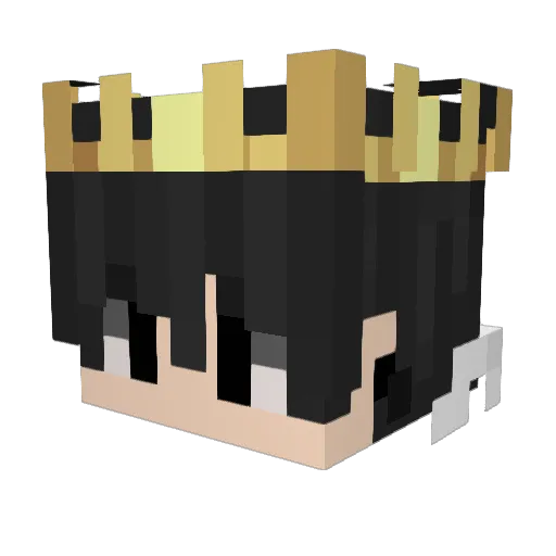 treacer Minecraft avatar head, 3D render