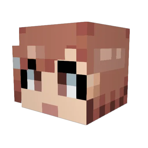 tree5607 Minecraft avatar head, 3D render