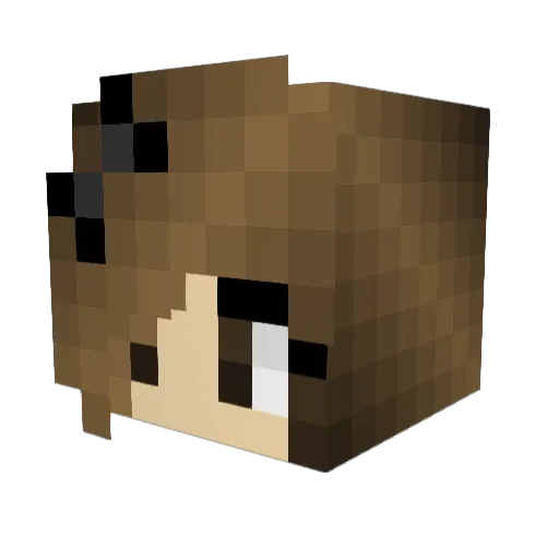 treebeard0 Minecraft avatar head, 3D render