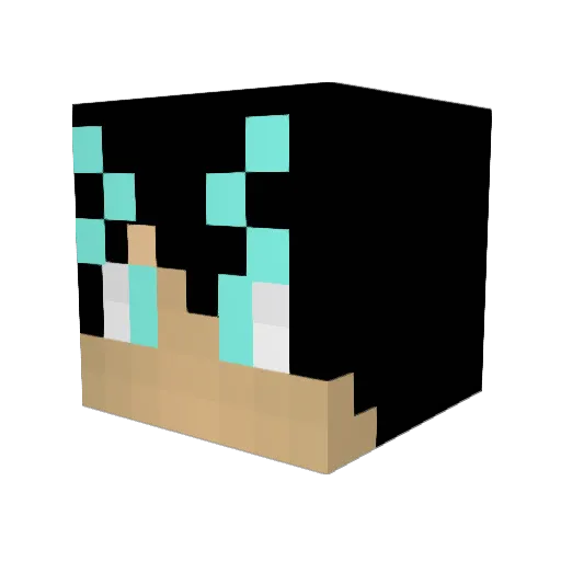 treebeard123 Minecraft avatar head, 3D render