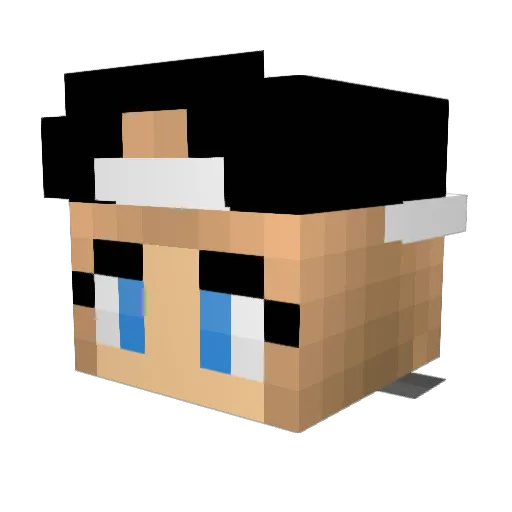 treefort77 Minecraft avatar head, 3D render