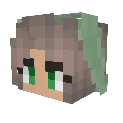 treehuginhippie_ Minecraft avatar head, 3D render